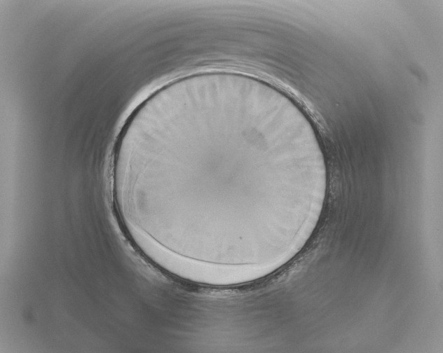 X0000115661522200912101041