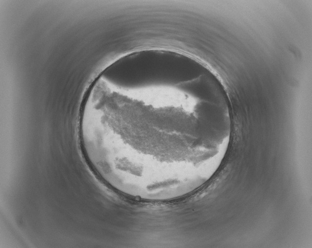 X0000115661525200912101041