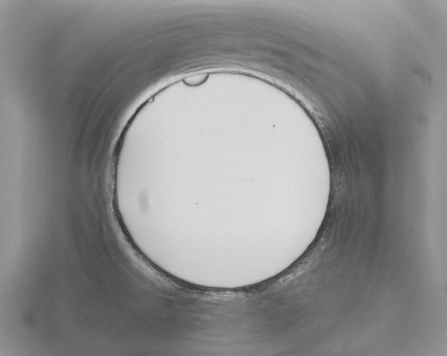 X0000115661526200912101041