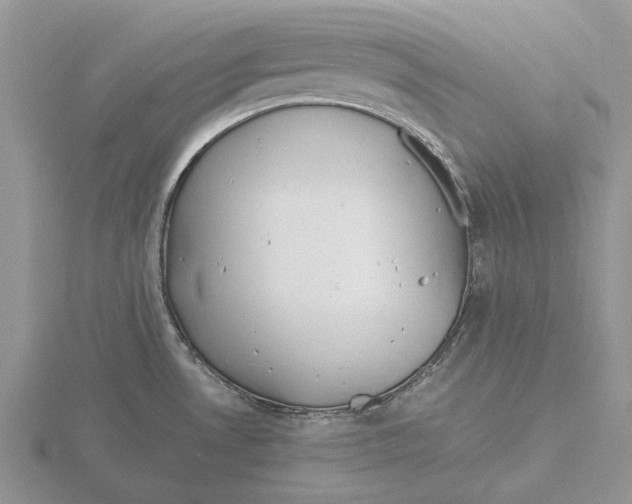 X0000115661530200912101041