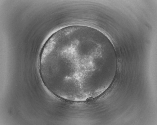 X0000115661531200912101041