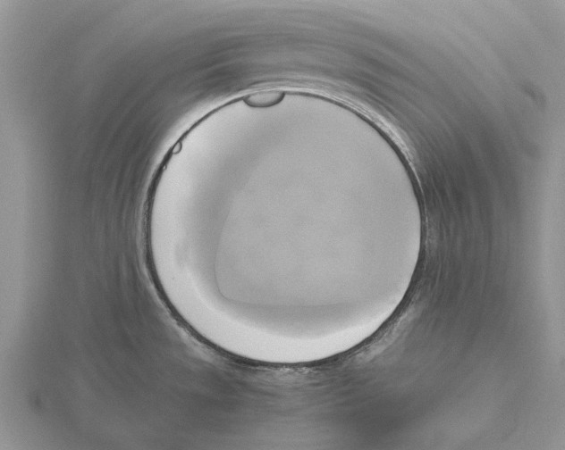 X0000115661533200912101041