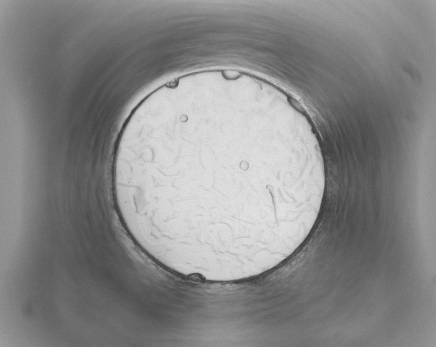 X0000115661534200912101041