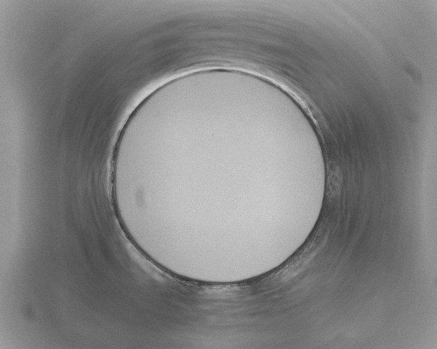 X0000115661535200912101041