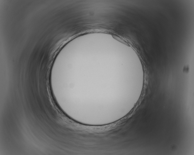 X0000115660001200912241408