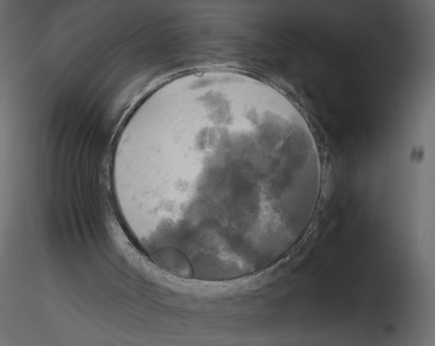 X0000115660002200912241408