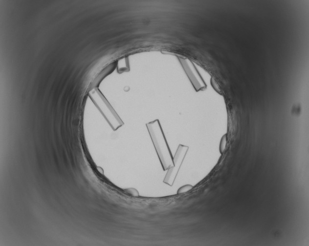 X0000115660003200912241408