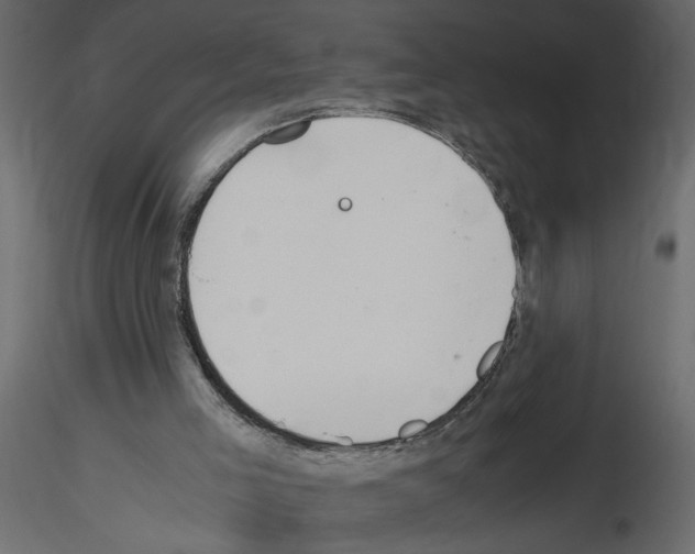 X0000115660005200912241408