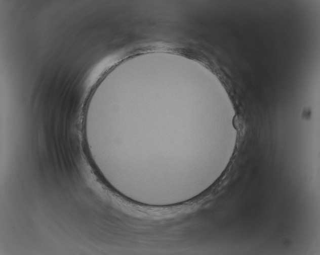 X0000115660006200912241408