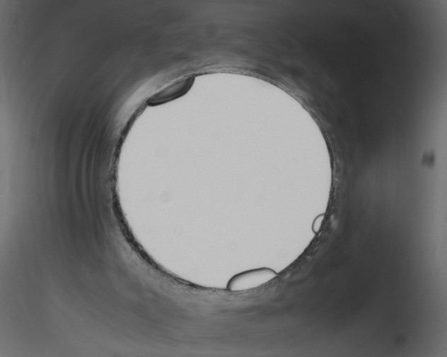 X0000115660007200912241408