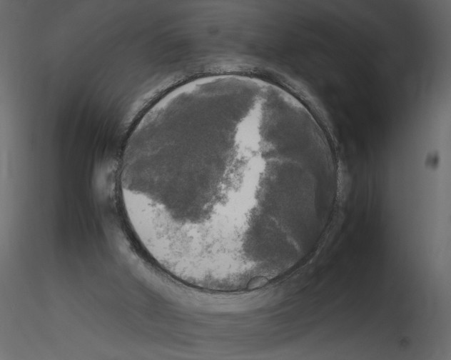 X0000115660010200912241408