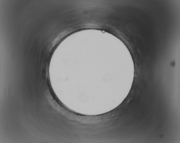 X0000115660011200912241408