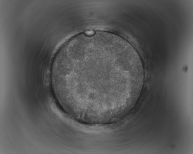 X0000115660012200912241408