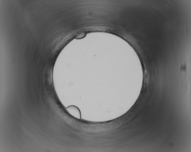 X0000115660013200912241408