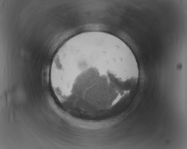 X0000115660014200912241408