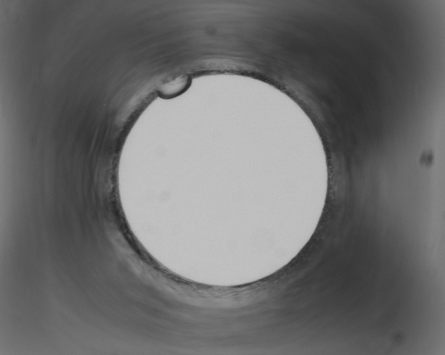 X0000115660015200912241408