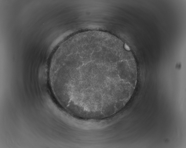 X0000115660016200912241408