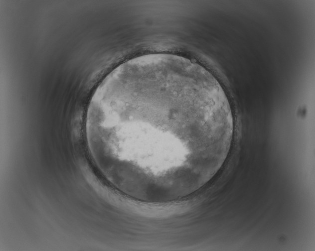 X0000115660018200912241408