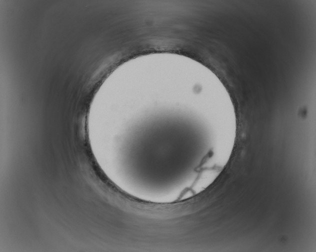 X0000115660019200912241408