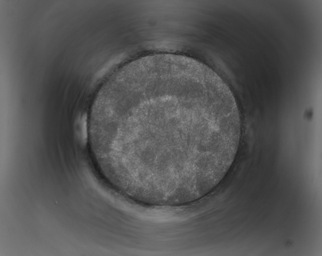 X0000115660020200912241408