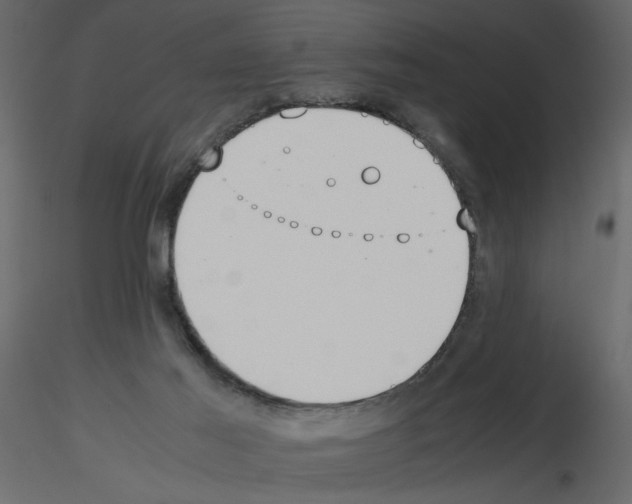 X0000115660021200912241408