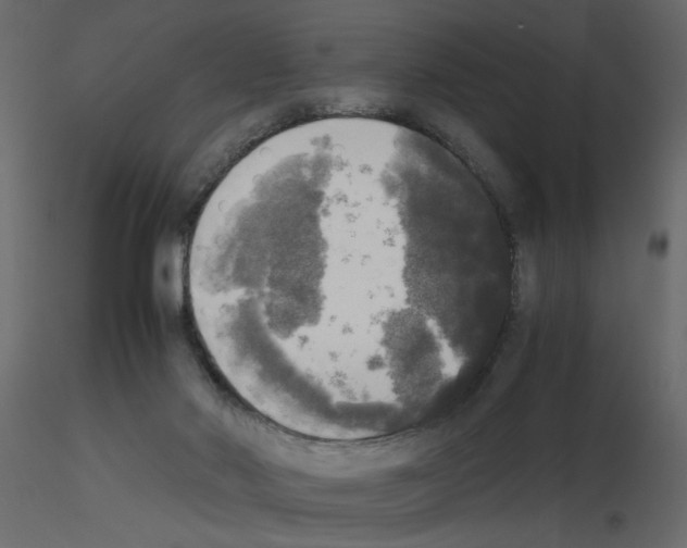 X0000115660022200912241408
