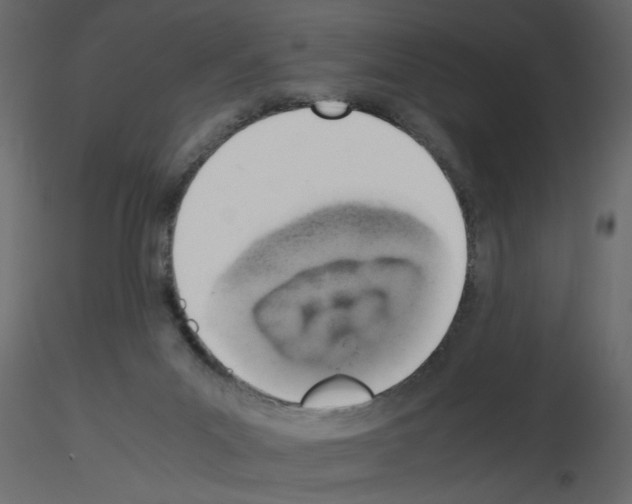 X0000115660023200912241408