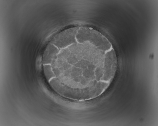 X0000115660024200912241408
