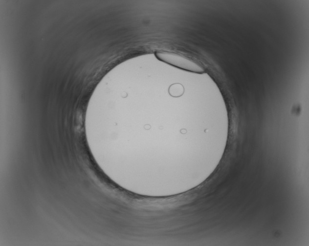 X0000115660025200912241408