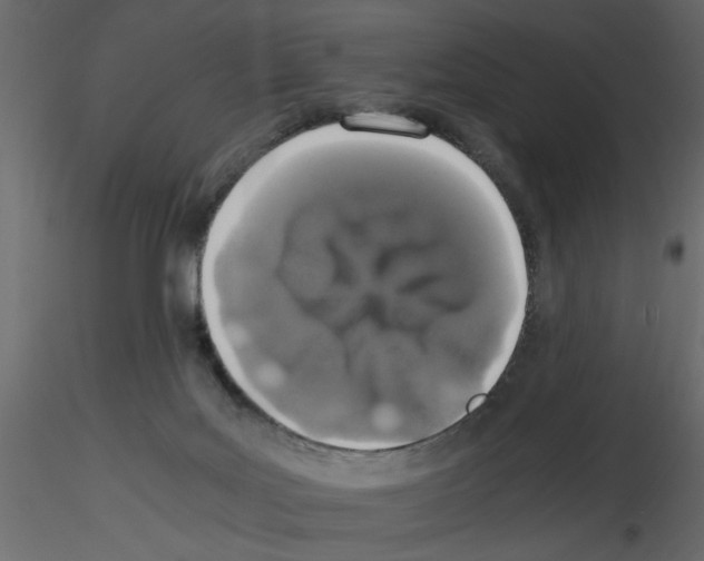 X0000115660027200912241408