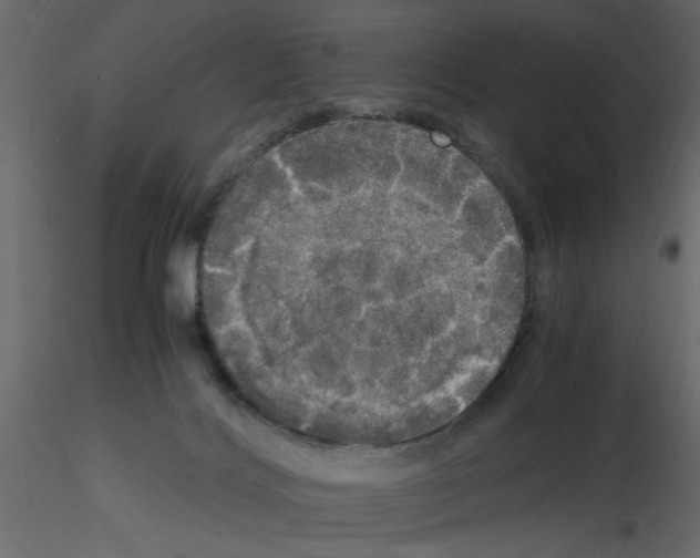 X0000115660028200912241408