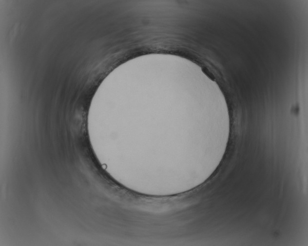 X0000115660029200912241408