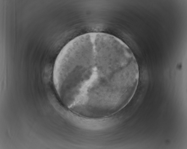 X0000115660030200912241408