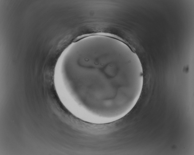 X0000115660031200912241408