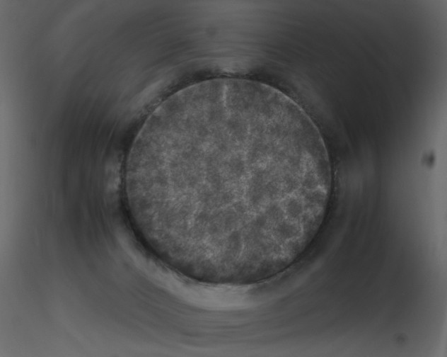 X0000115660032200912241408