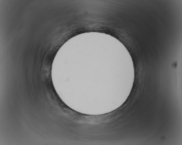 X0000115660033200912241408