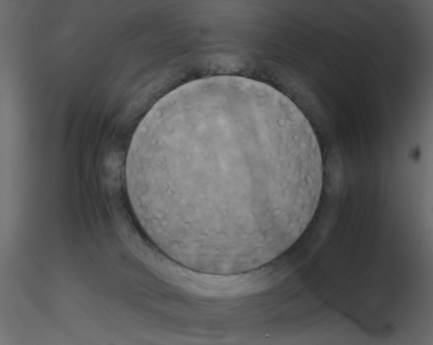 X0000115660034200912241408