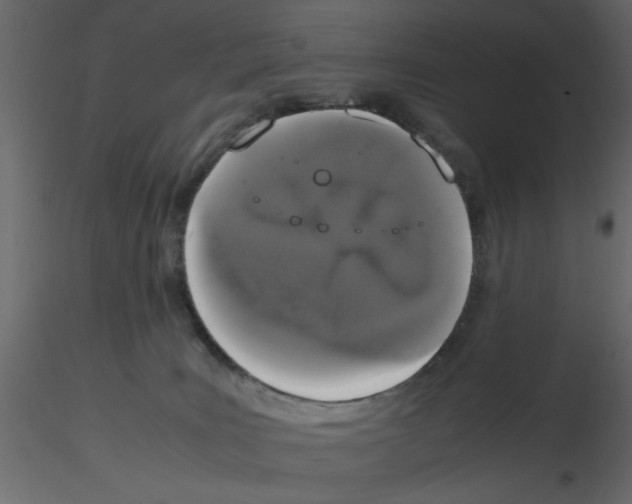 X0000115660035200912241408