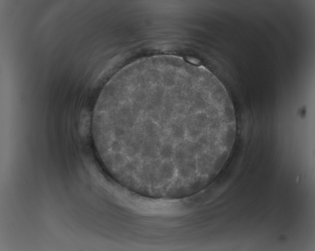 X0000115660036200912241408