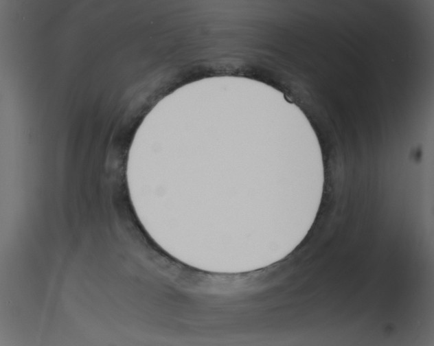 X0000115660037200912241408