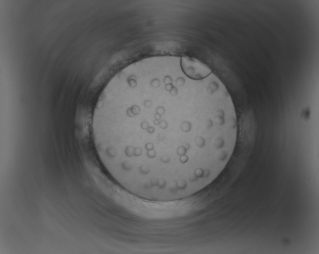 X0000115660038200912241408
