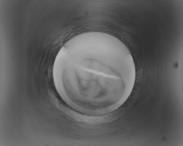 X0000115660039200912241408