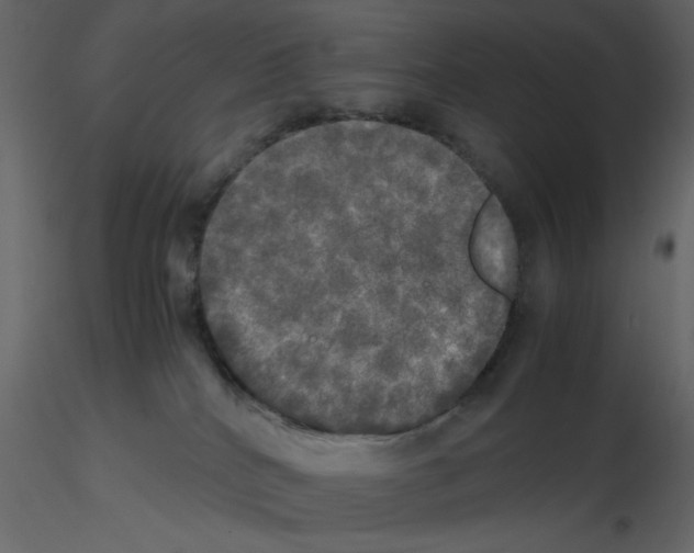 X0000115660040200912241408