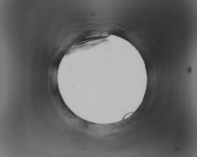 X0000115660041200912241408