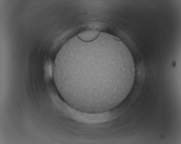X0000115660042200912241408