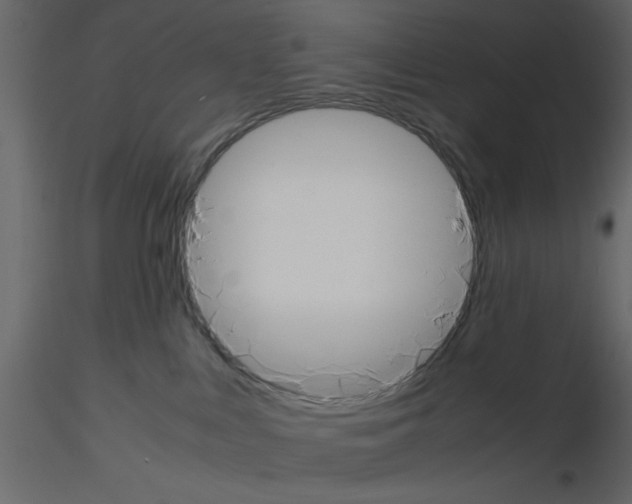 X0000115660043200912241408