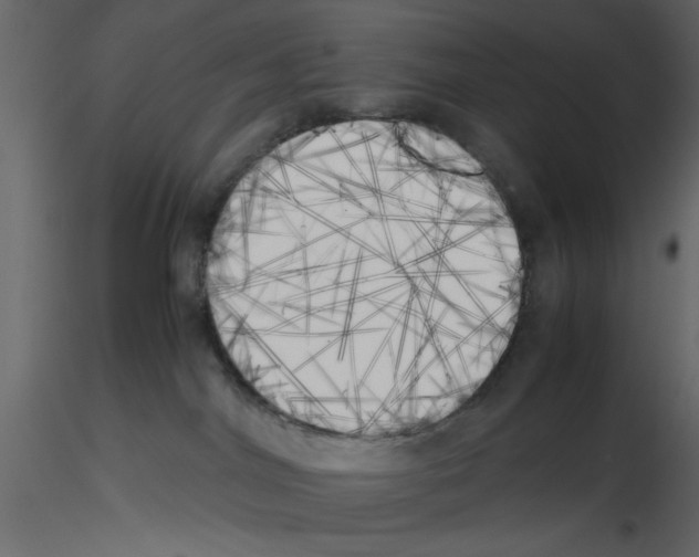 X0000115660044200912241408