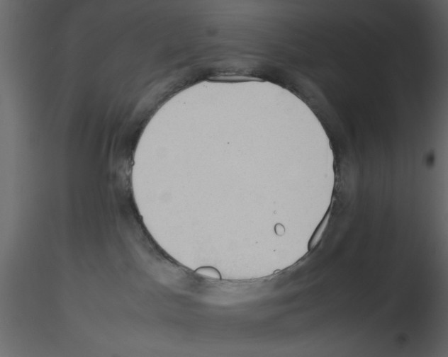 X0000115660045200912241408