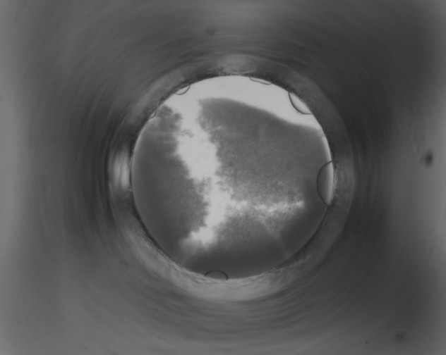 X0000115660046200912241408
