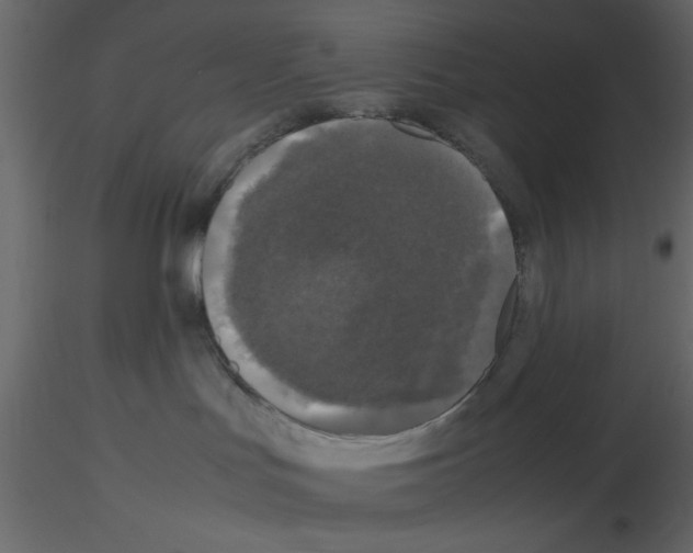 X0000115660047200912241408